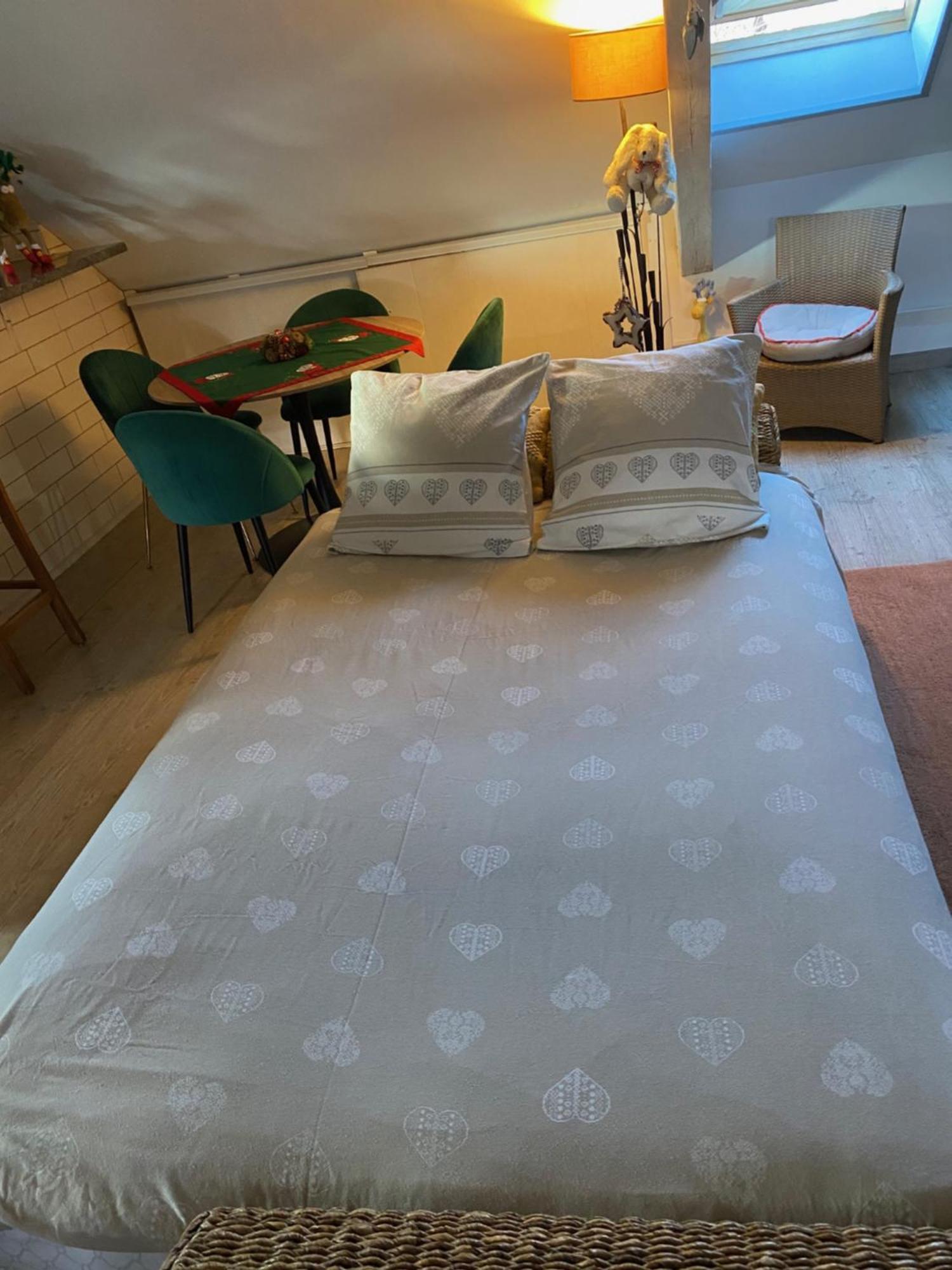 Duplex Spacieux Tout Confort Mulhouse Luaran gambar